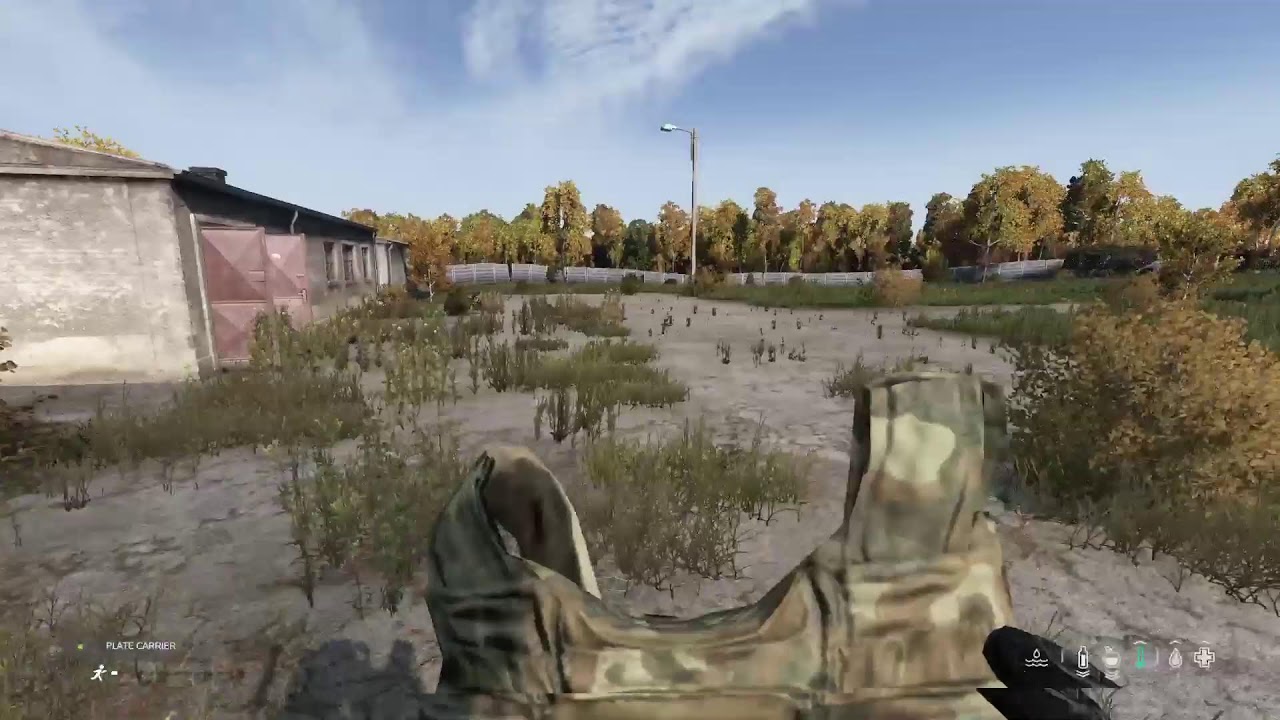 Official dayz