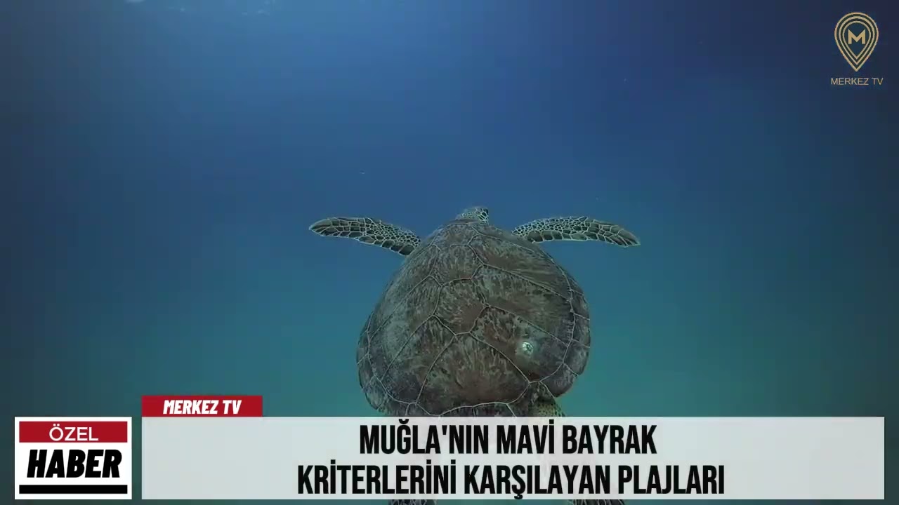 Muğla'nın mavi bayrak kriterlerini karşılayan plajları