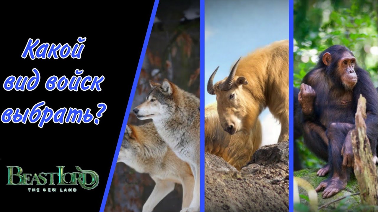 Beast Lord ~ Гайд для новичков ~ Вид войск который подходит именно тебе!