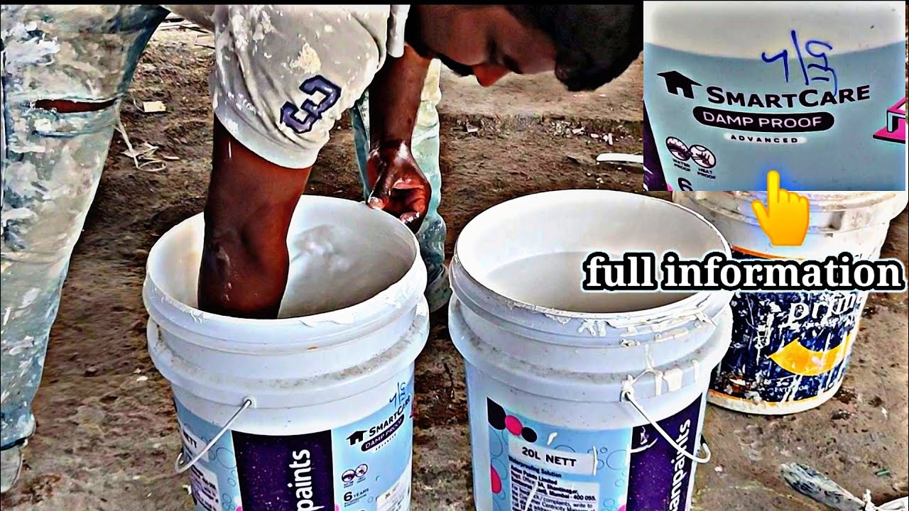damp proof Asian Paint |  Water leakage solution | damp proof review