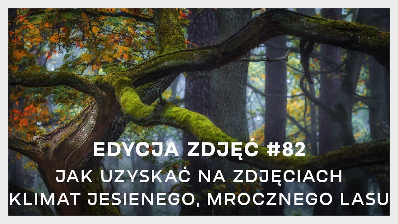 EDYCJA ZDJĘĆ #82: JAK UZYSKAĆ NA ZDJĘCIACH KLIMAT JESIENNEGO, MROCZNEGO LASU