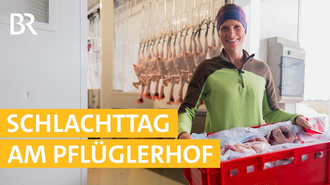 Das erste Mal Hühner schlachten #18 | Mega Baustelle: Ein Bauernhof zieht um | Unser Land | BR