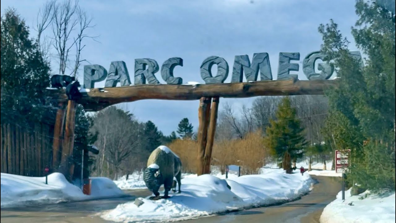 Pod Village | Accommodation | Parc Omega | Quebec