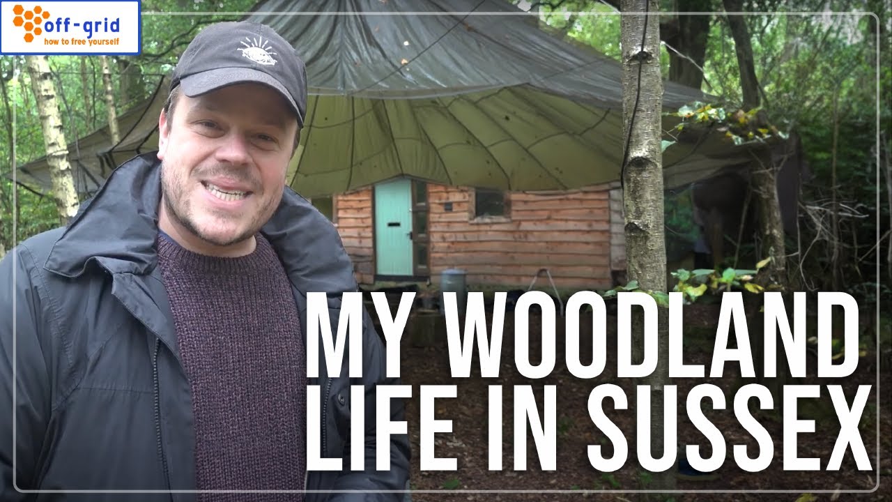 My Woodland Life In Sussex