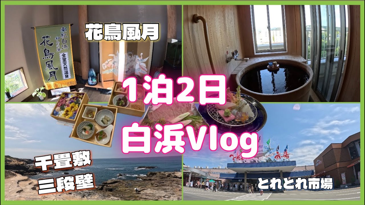 【白浜Vlog】最高の旅館花鳥風月🌸｜客室内天然温泉♨️｜千畳敷｜三段壁｜とれとれ市場🐟