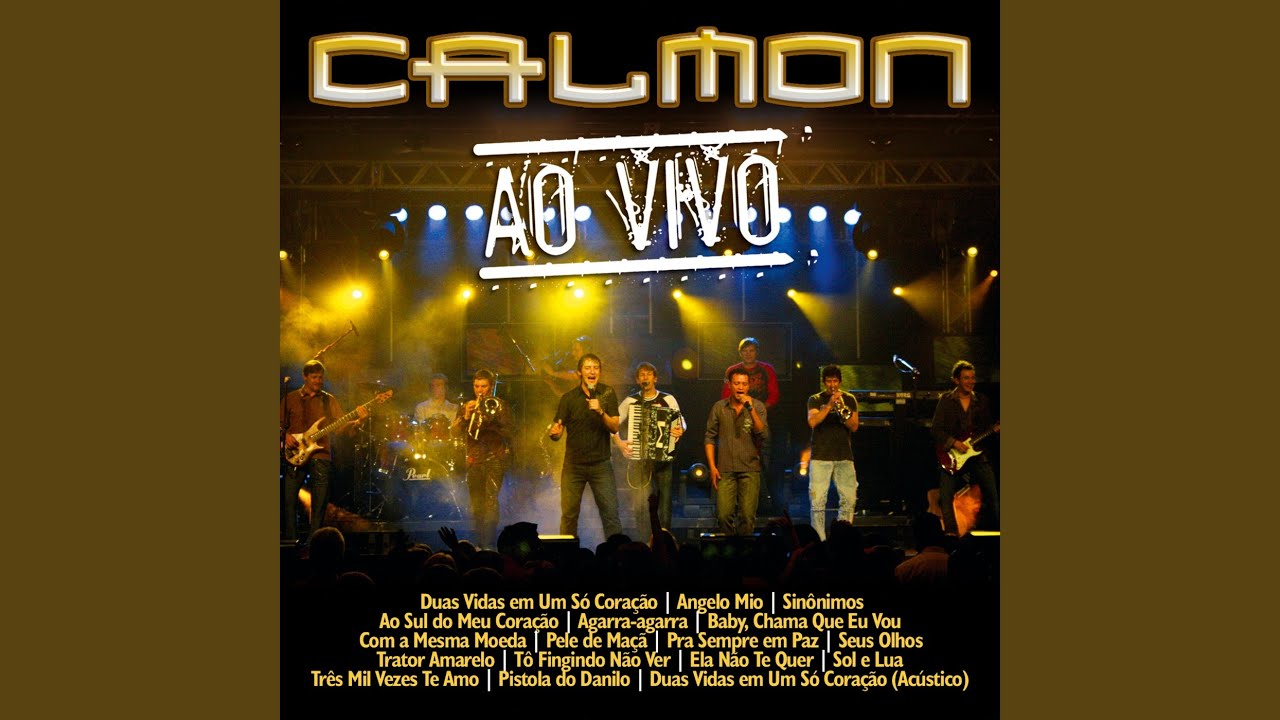 Ao Sul do Meu Coração