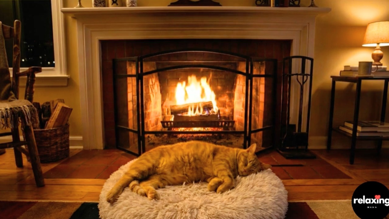 🔥 Cozy Fireplace & Sleeping Yellow Cat Ambience | Sensory Safe for the Kids [2 Hours]