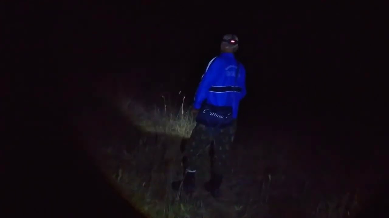 FUI ATÉ A ESTRADA DA CRIATURA E PEDRO SENTIU ALGO SE APROXIMAR DELE