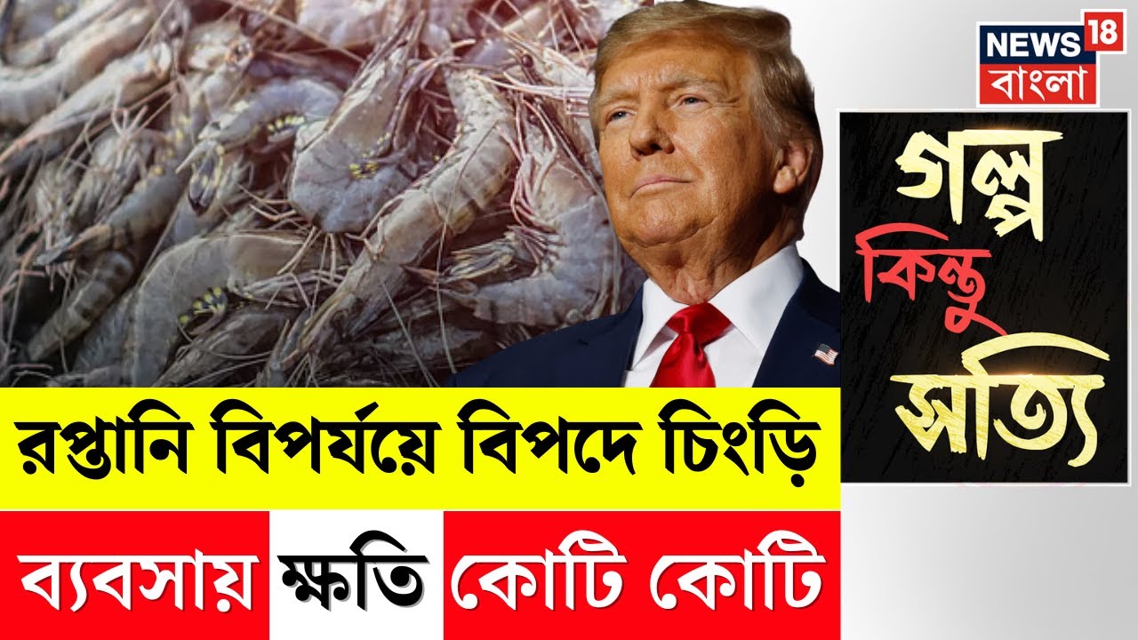 Trump Tariffs| America র শুল্ক কোপে চিংড়ি ব্যবসায় ধস! টার্গেট Europe | Shrimp Industry | N18G