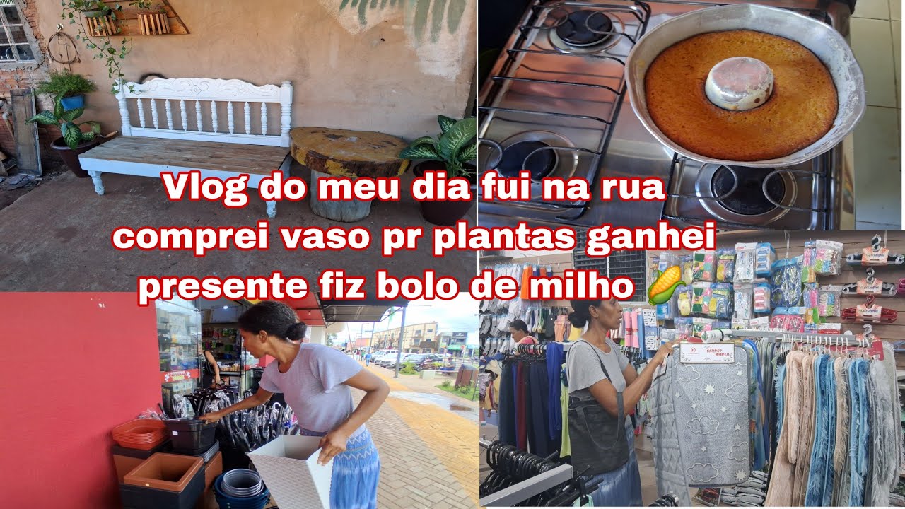 VLOG DO MEU DIA  GANHEI PLANTAS FUI NA RUA FIZ BOLO DE MILHO GANHEI PRESENTE 