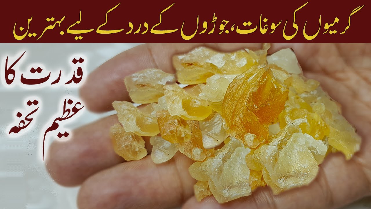 Remedy for Joint Pain, Boost Immunity & More! The Power of Gond Katira Revealed