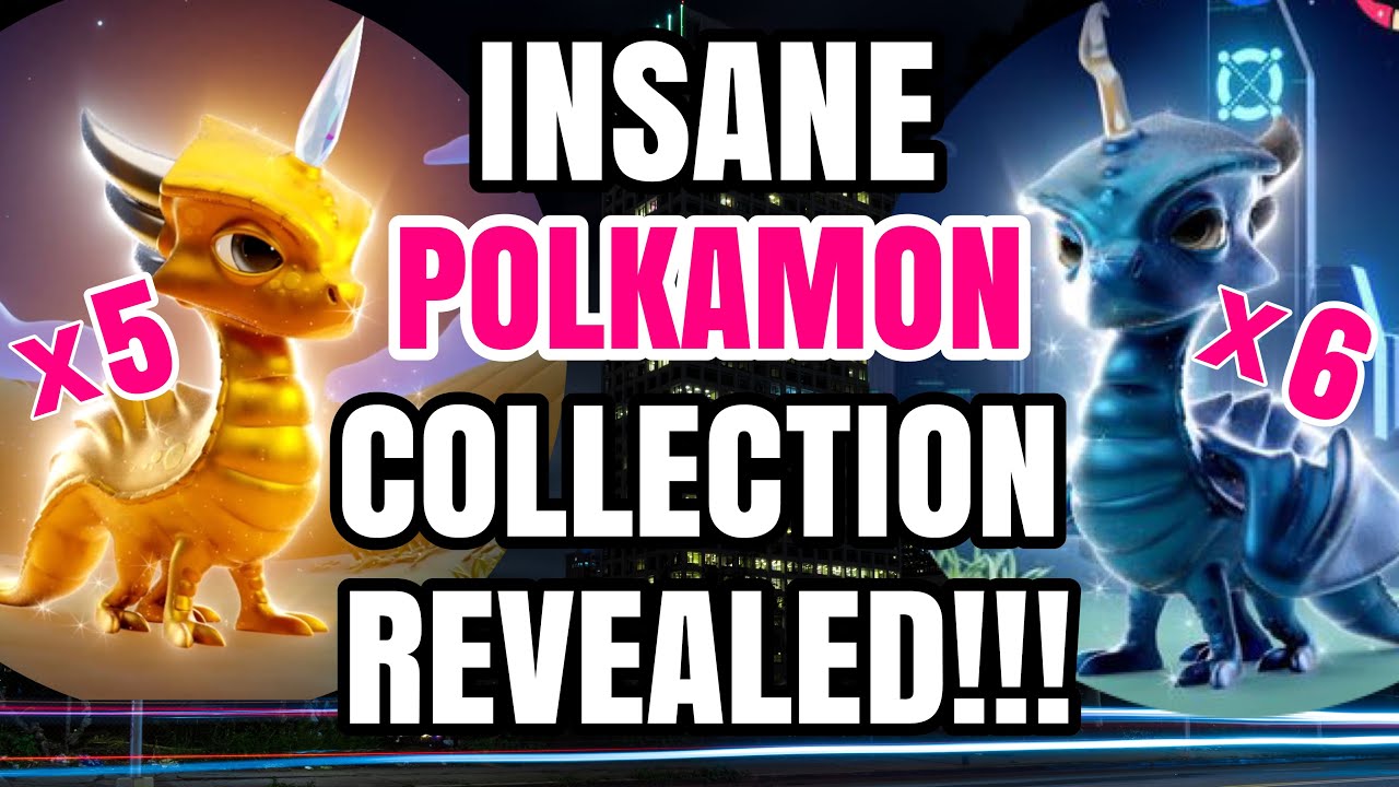 THE BEST POLKAMON COLLECTION REVEALED!