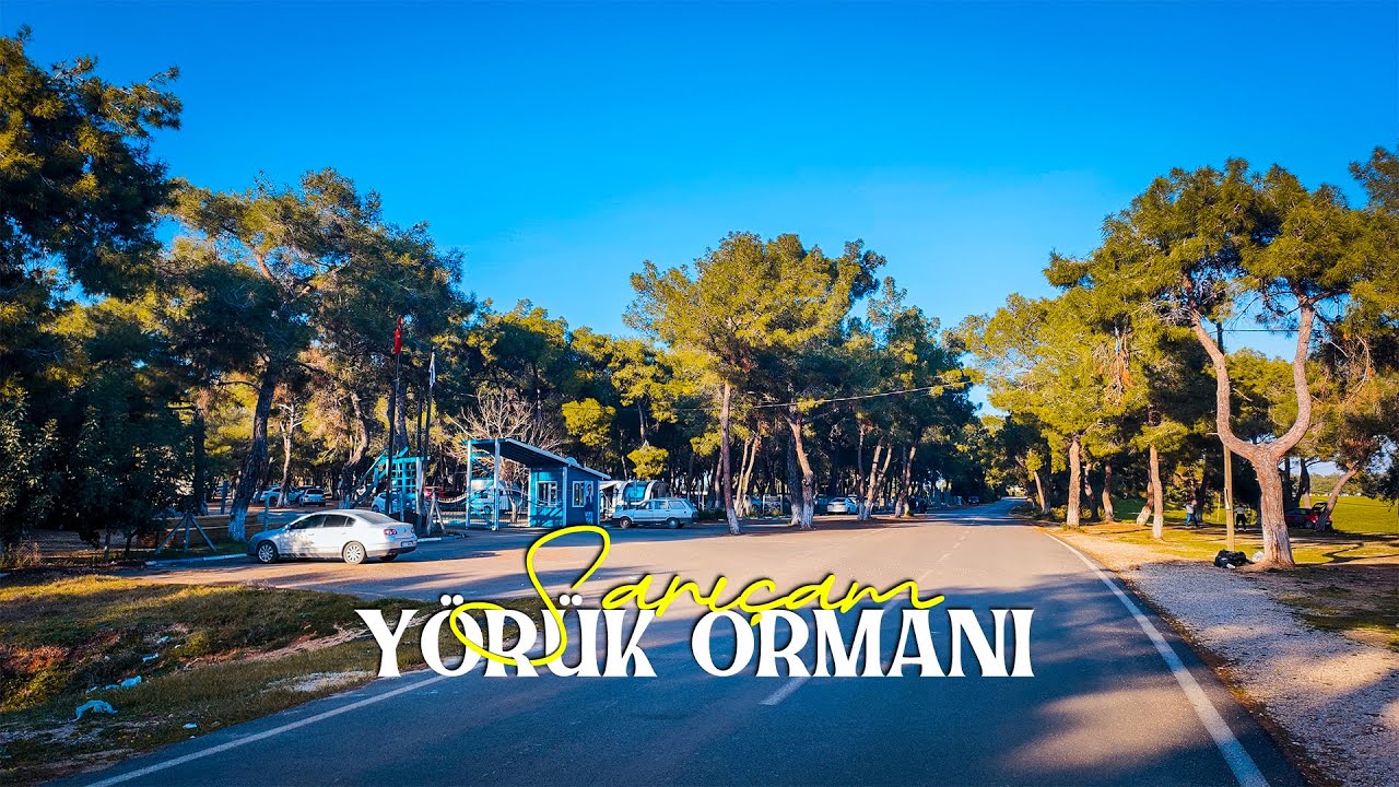Sarıçam Yörük Ormanı