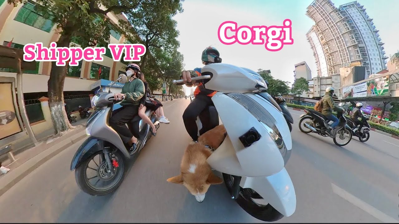 Mang Corgi đi chạy ship kiếm tiền về quê ăn Tết | Xế Tuyển