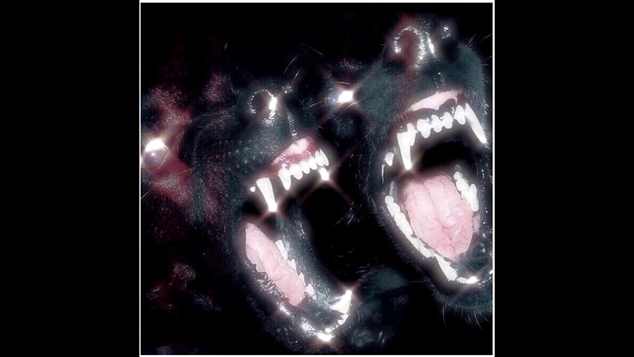 222TilMidnight - WAVYIER