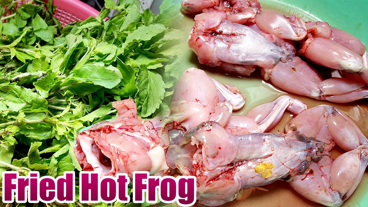 Easy Asian Khmer Cooking food dinner recipes, Fried Hot Frog