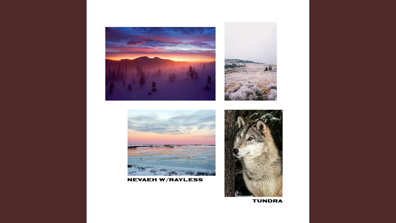 Tundra (feat. Rayless)