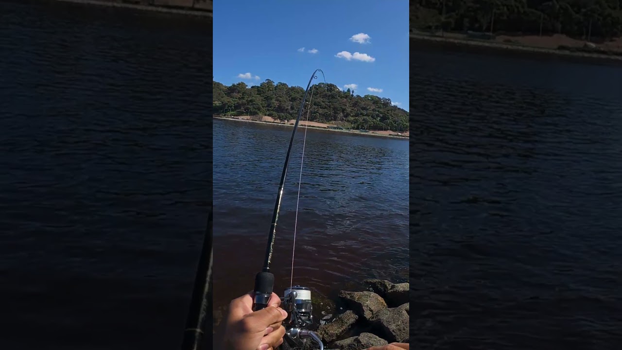 Christening the new combo  #fishing #daiwa #fish #angler #catchingfish #fishingtechniques #perth #