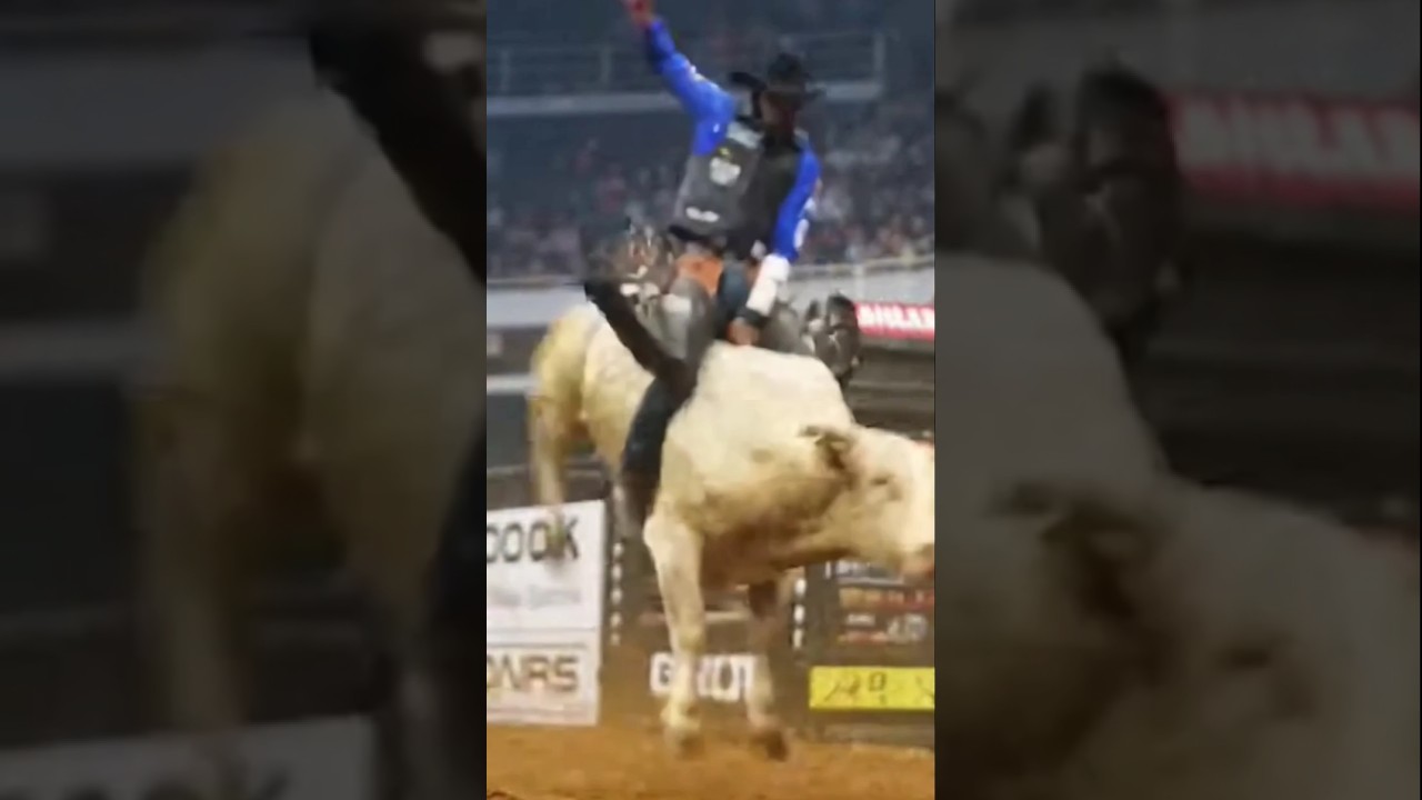 🐂🤠💥💪 