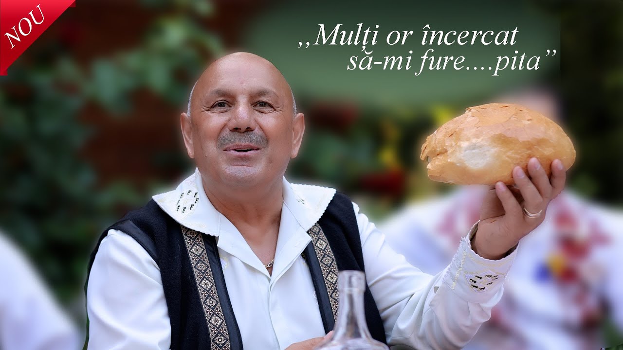 Nicu Novac - Multi or incercat sa-mi fure pita || Muzica din Banat