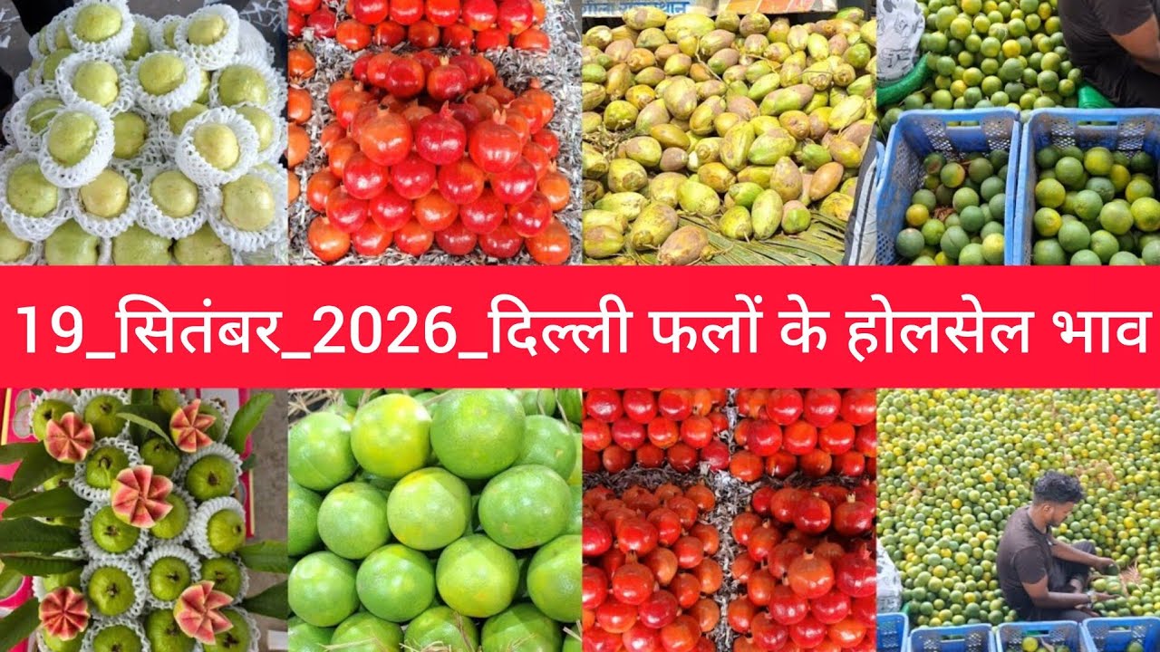 19 September 2026 दिल्ली सभी फलों के भाव&nbsp; today fruit market price APMC delhi fruit market