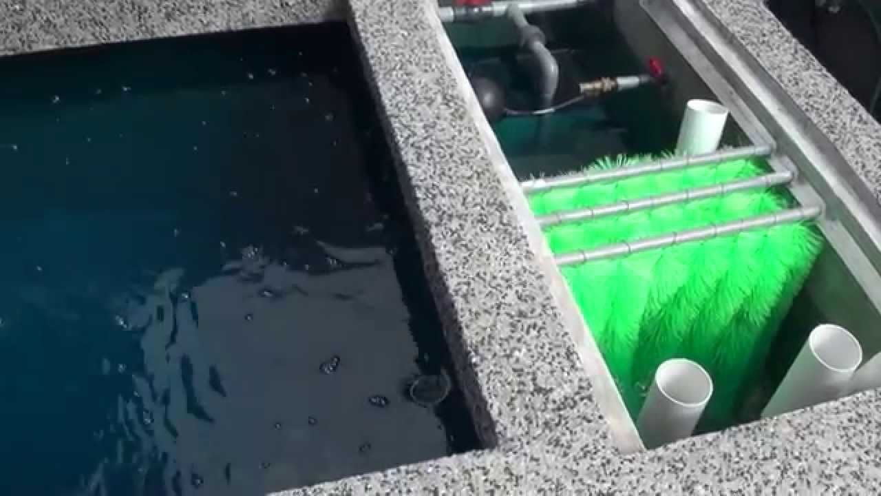 Filter Media Setup and Pumps Installation