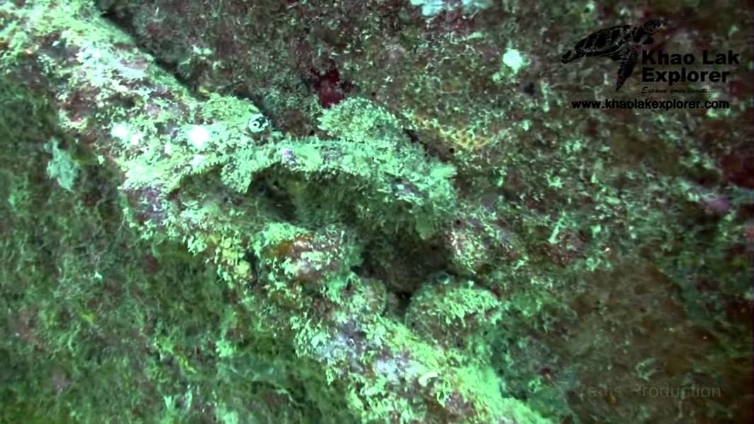 Boonsung Wreck  Dive Site (Khao Lak) with Khao Lak Explore Dive Center