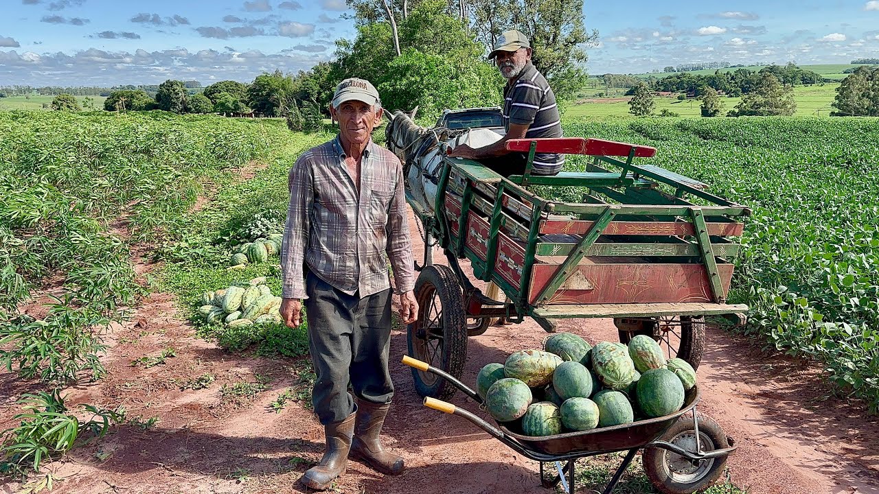 Um sítio raiz a onde o bastião planta e colhe com muito amor # e cuida de sua mãe com muito carinho…