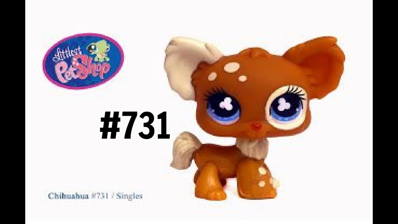 LPS: Chihuahua i ich zestawy / Chihuahua and their Sets  1/2