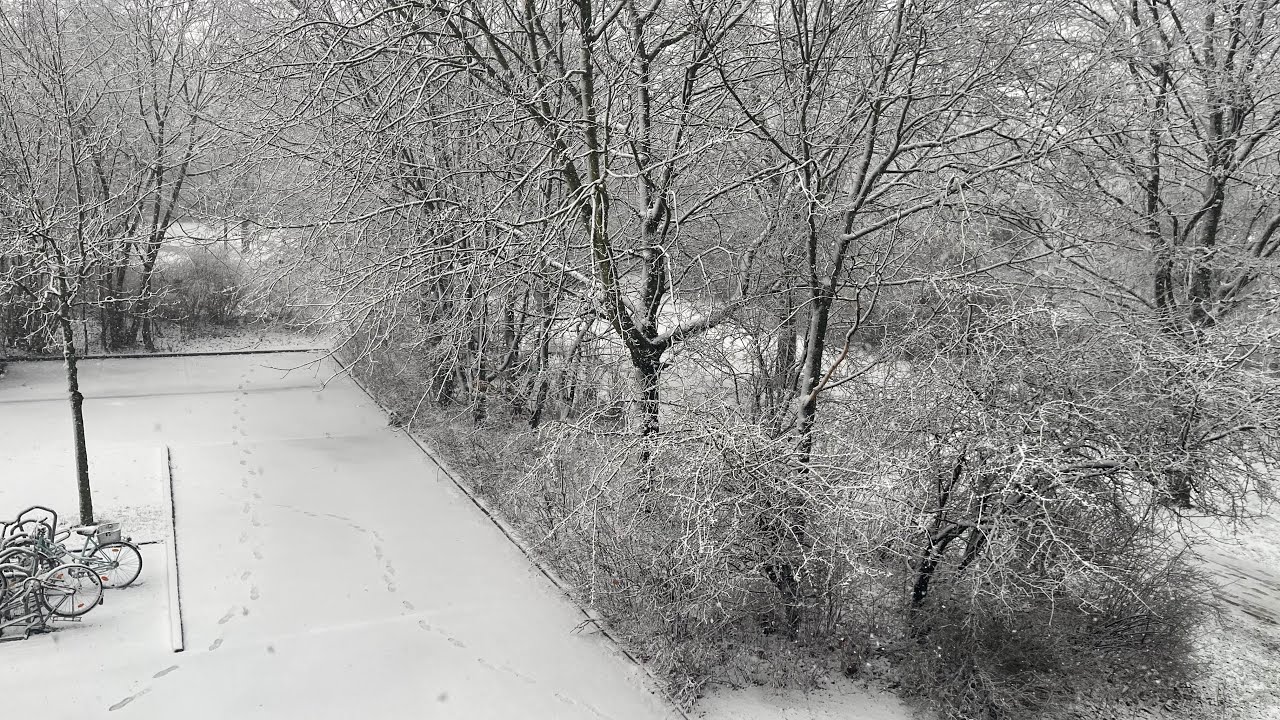 Live snowfall in Germany 🇩🇪