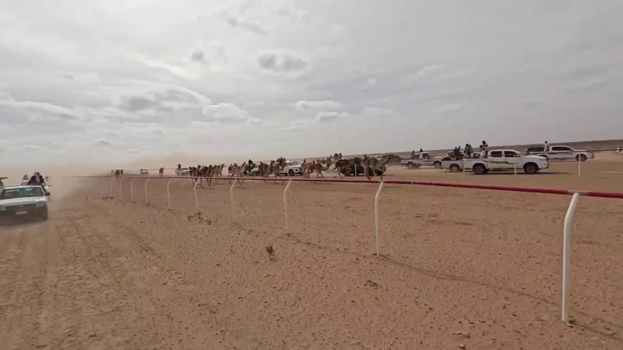Streaming Live مهرجان العالمين