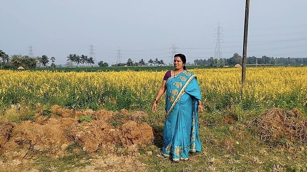 # సుందరమైన ప్రకృతి #