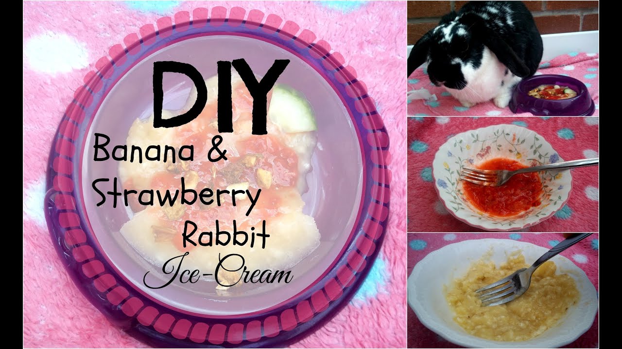 DIY: Banana & Strawberry Rabbit Ice-Cream | RosieBunneh