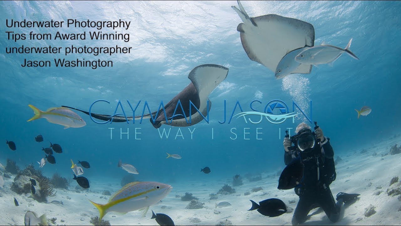 Underwater Photography Tips with Cayman Jason -Photographing Grand Cayman's Stingray City