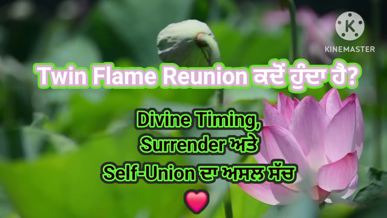 Twin Flame Reunion ਕਦੋਂ ਹੁੰਦਾ ਹੈ? | Divine Timing, Surrender ਅਤੇ Self-Union ਦਾ ਅਸਲ ਸੱਚ #twinflame 