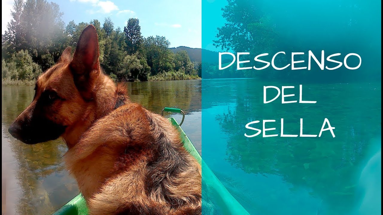 PLAYA LA GRIEGA + DESCENSO DEL SELLA CON PERRO - VLOG 23