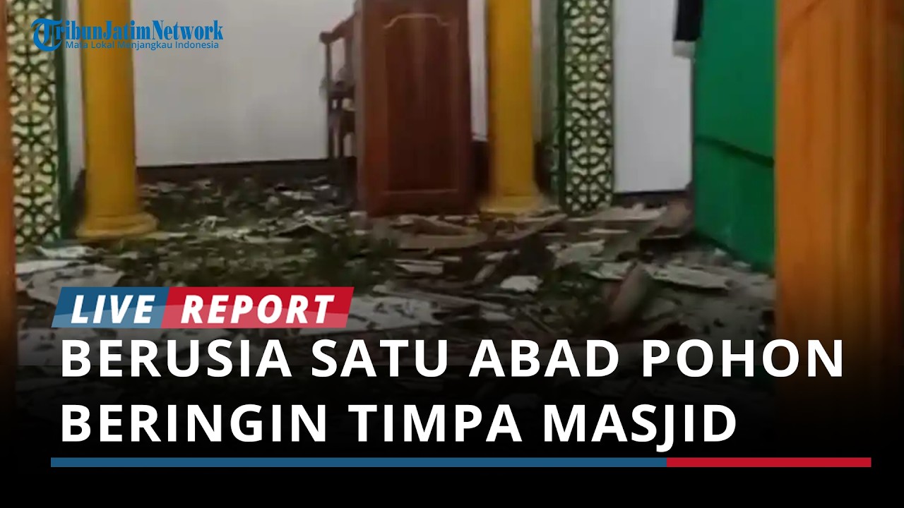 Berusia Satu Abad Pohon Bringin Tumbang Menimpa Masjid, Jemaah Mencari Alternatif untuk Tarawih