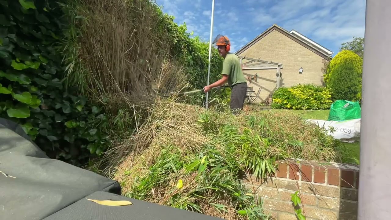 Removing a large bamboo and advice on bamboo in your garden!