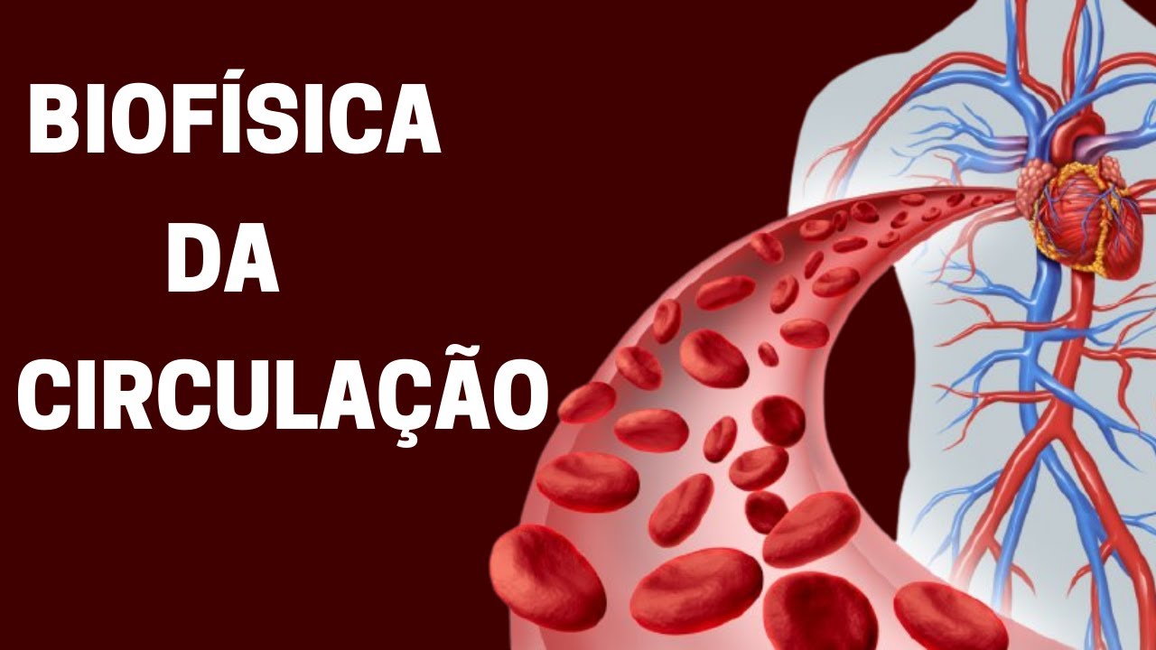 Biofísica da circulação sanguínea - Fisiologia humana