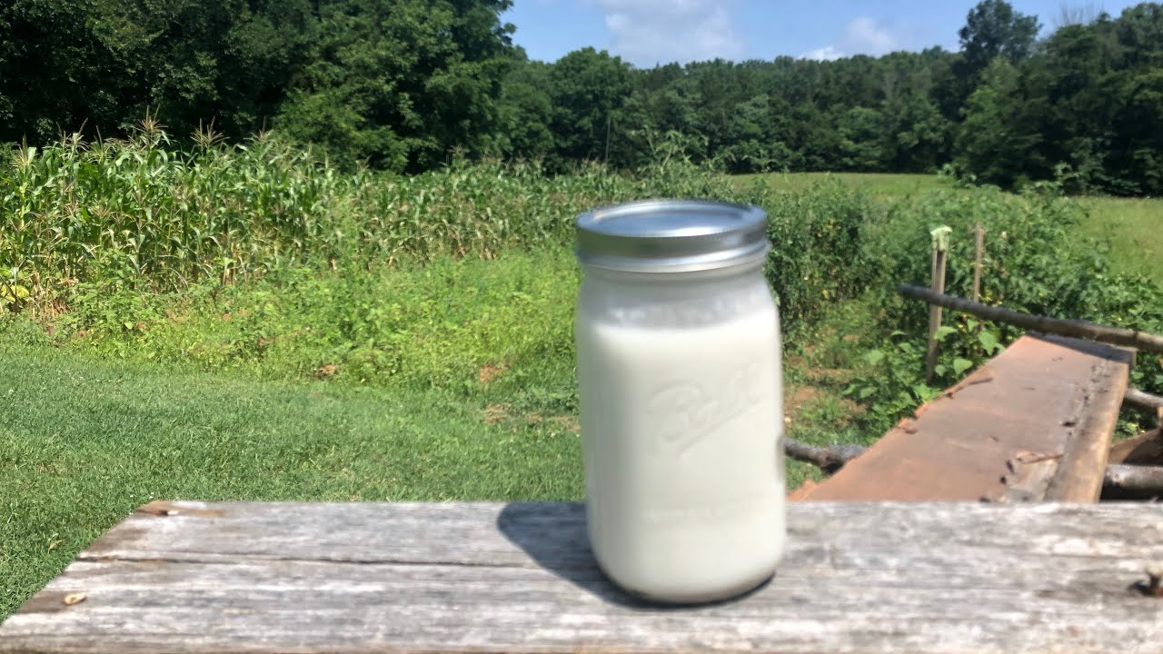 Rendering Homemade Lard, Cracklins, and Appalachian Remedies