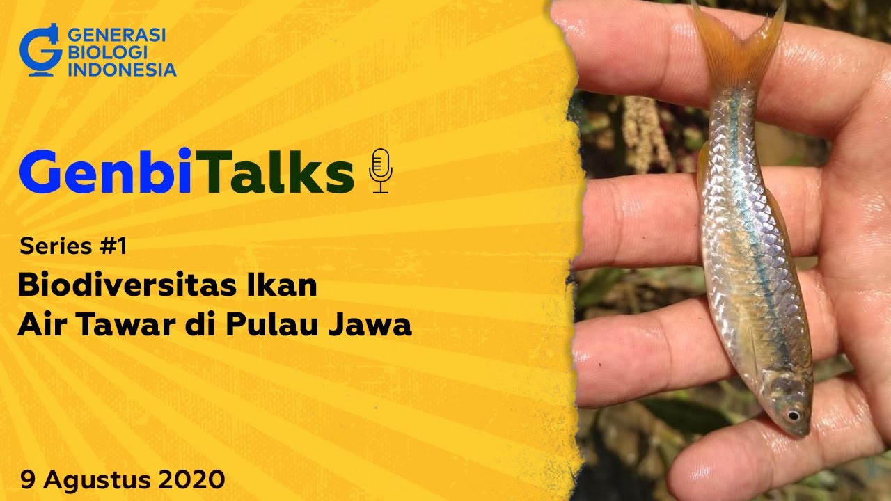 GenbiTalks Series #1: Biodiversitas Ikan Air Tawar di Pulau Jawa