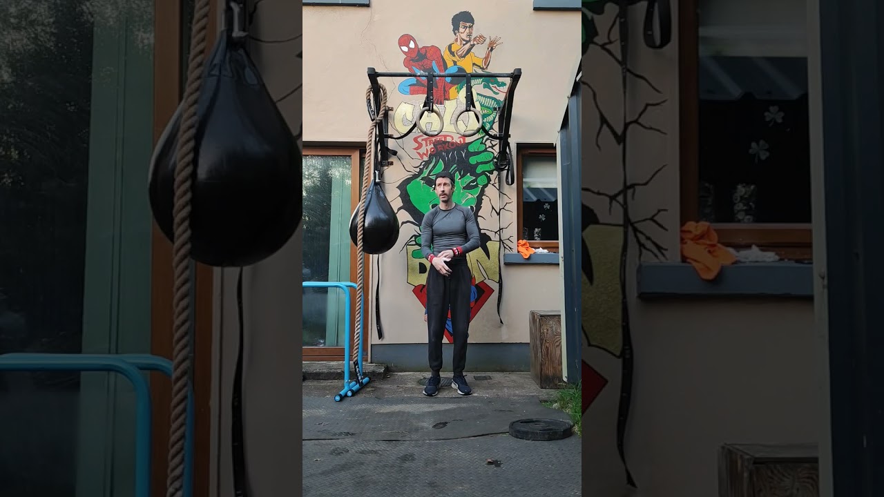 Free Start Calisthenics basics pullup up tutorial #tutorial #calisthenics #free #beginnerroutine