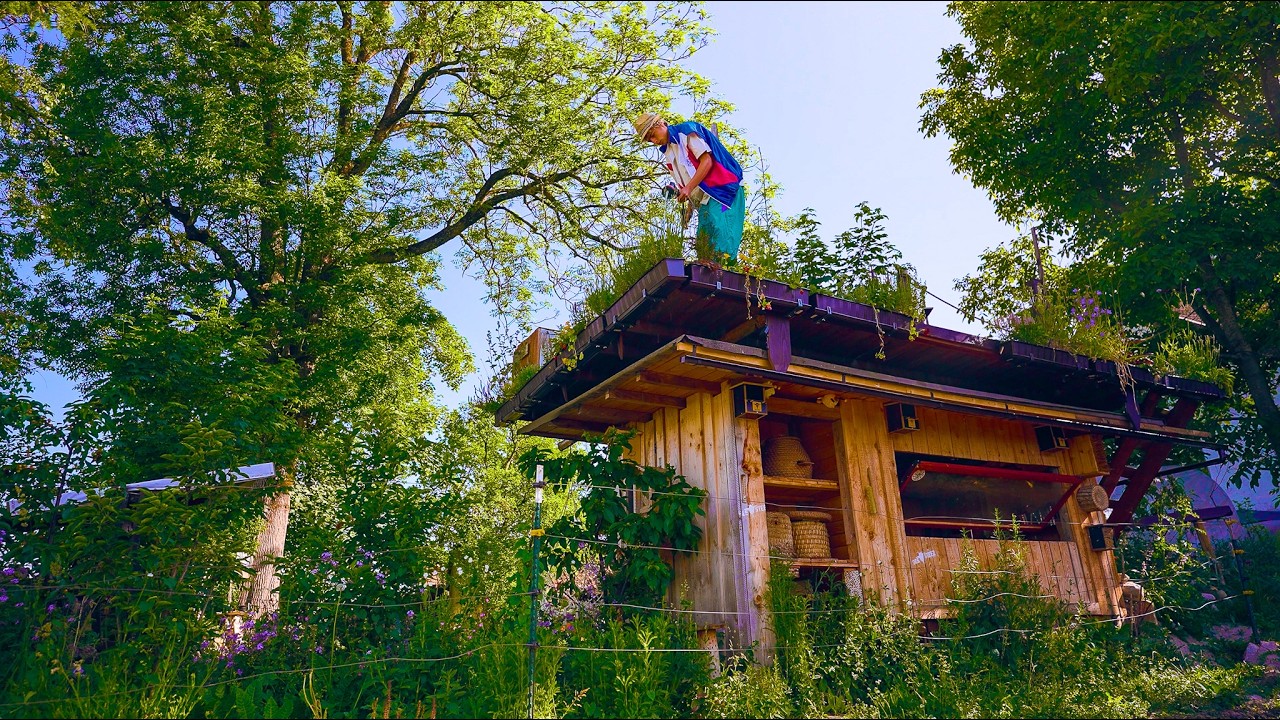 Bienenhaus selber Bauen