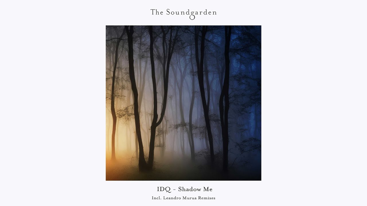 Premiere: IDQ - Shadow Me
