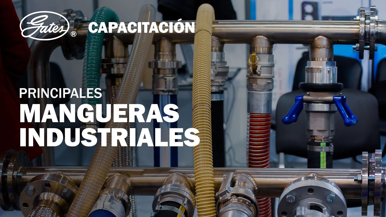 Capacitación 