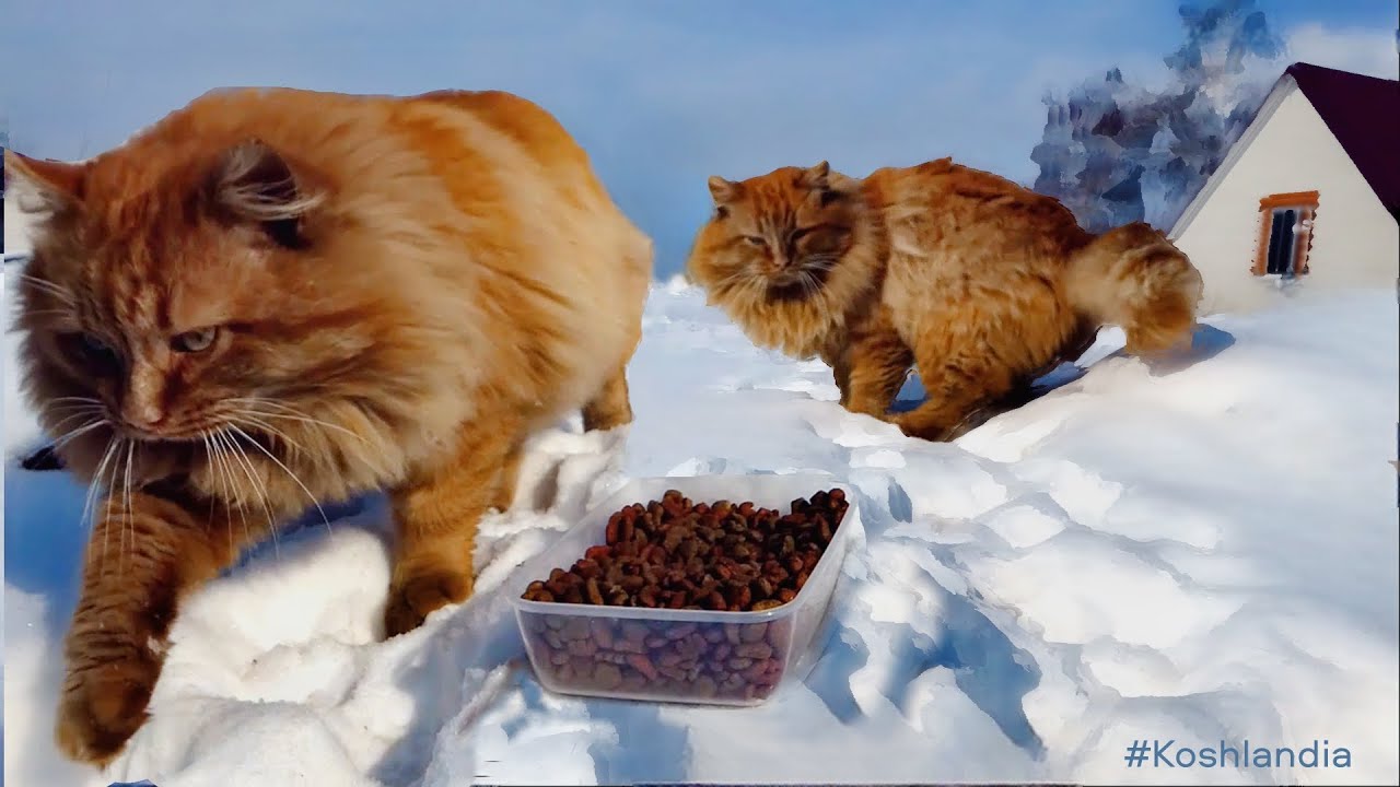 Почему 