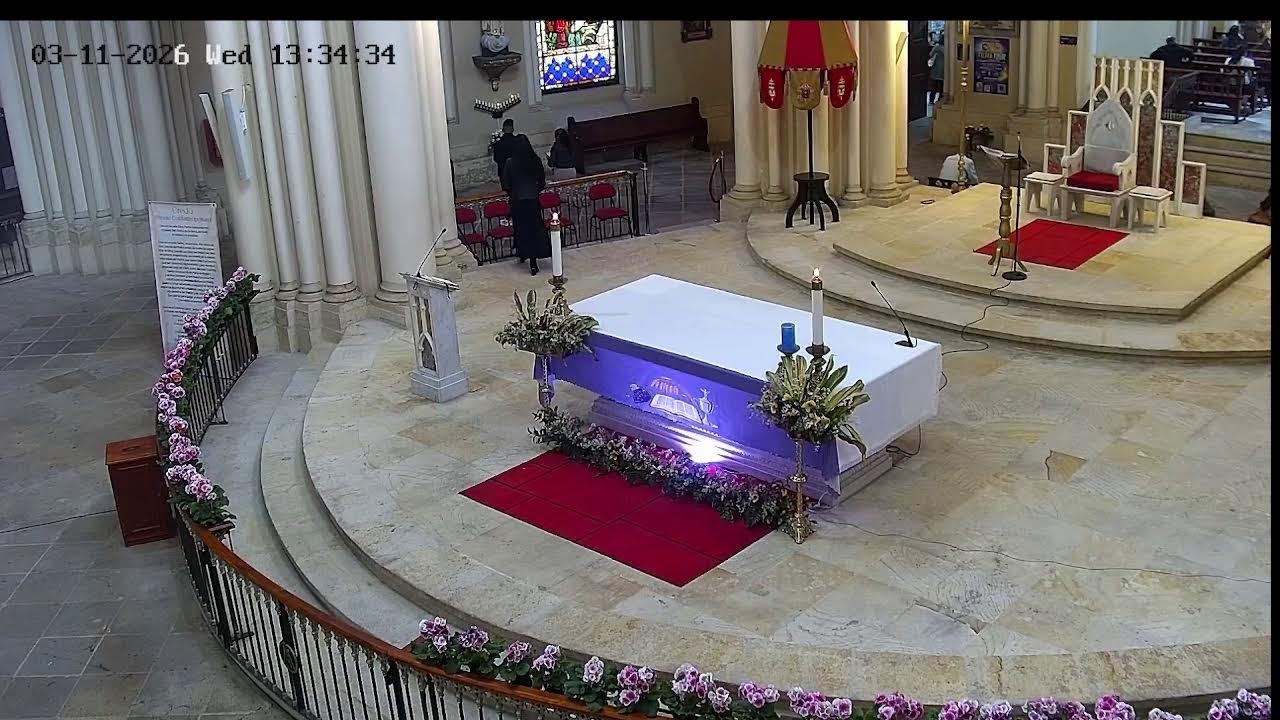 Transmisión Eucaristía Basílica de Lourdes   2026