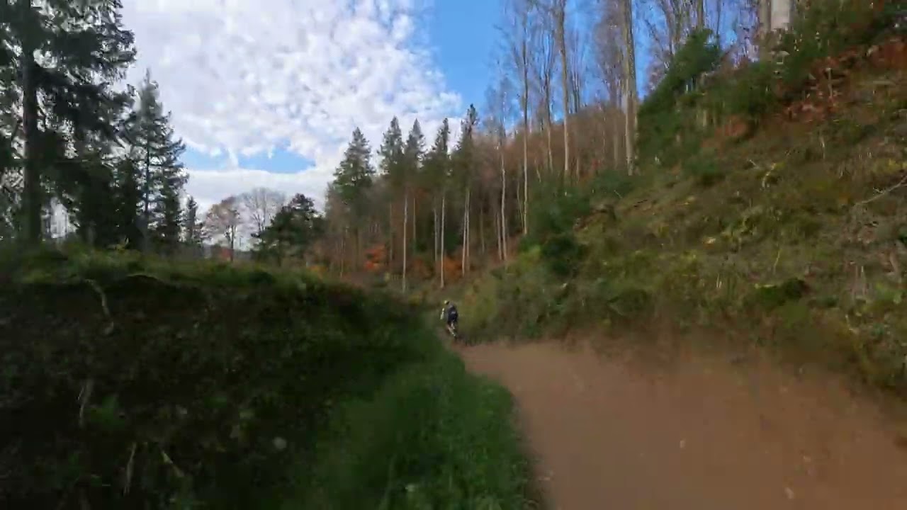 Hexentrail Freiburg mit Max Brandl