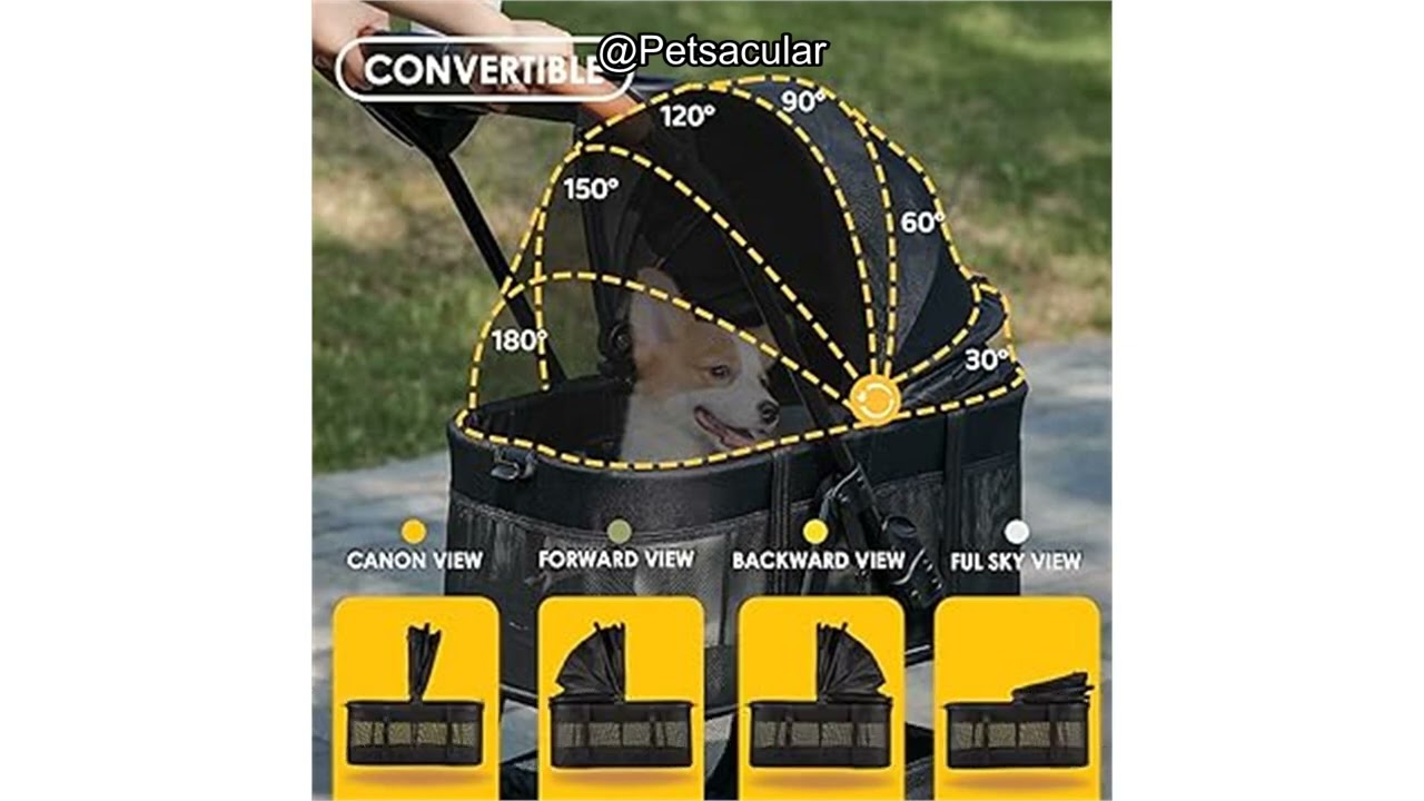 Zoosky 3-in-1 Folding Pet Stroller Review: Worth the Investment for Small/Medium Pets?
