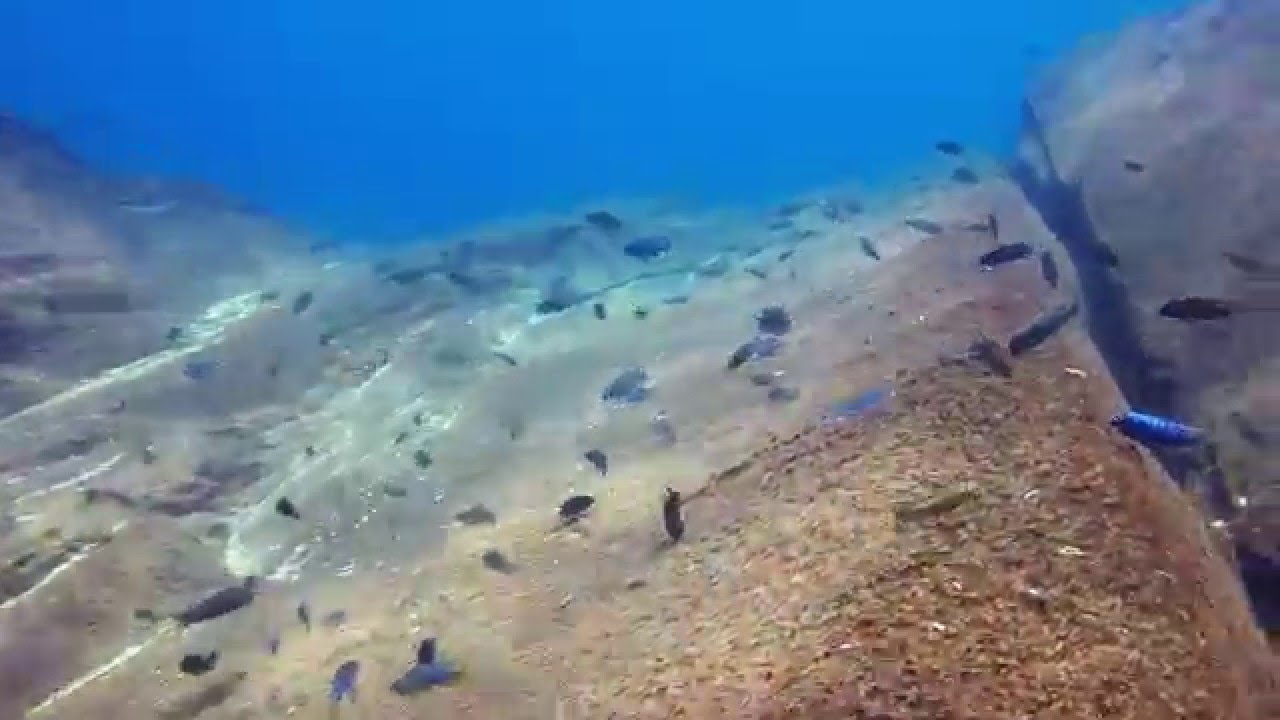 Linganjala Reef, Chizumulu Island